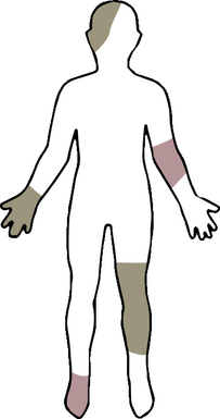 Logo with a winding key that reads "Kai Caramba"